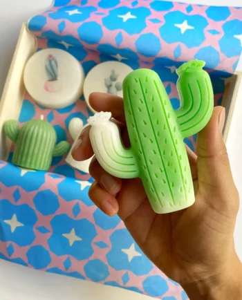 Caja cactus