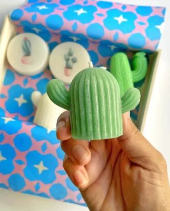 Vela cactus
