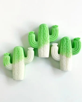 Regalos tema cactus