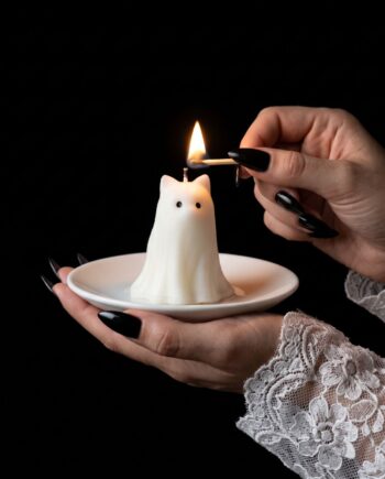 Gato fantasma