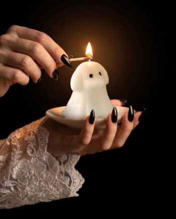 Perro fantasma